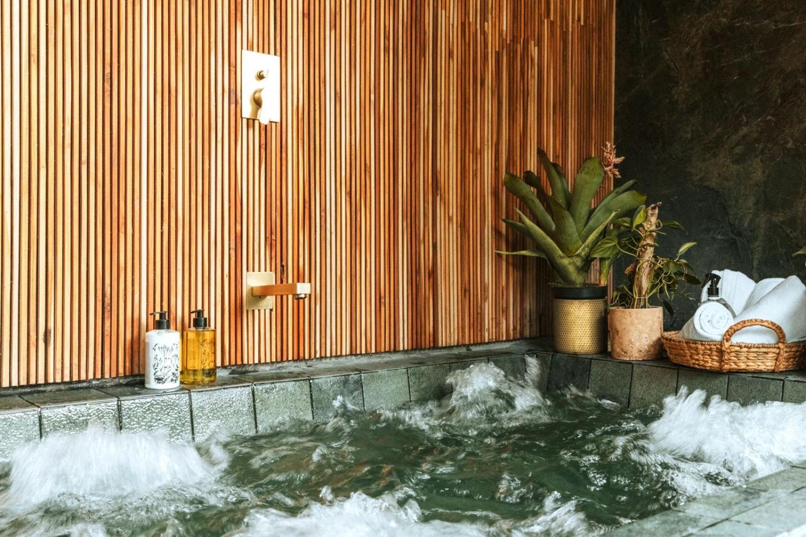 Selvario 36 Hotel ميديلين المظهر الخارجي الصورة